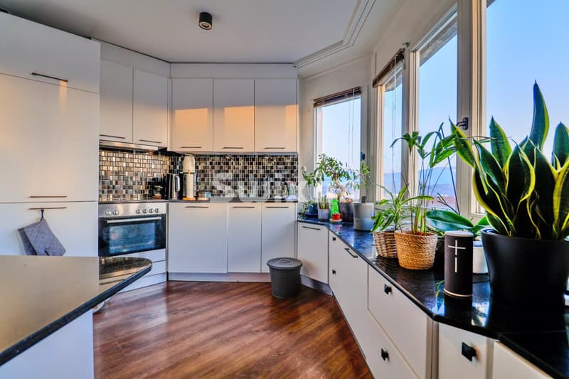 Une cuisine moderne avec des armoires blanches, un plancher en bois, et de grandes fenêtres, décorée de diverses plantes vertes.