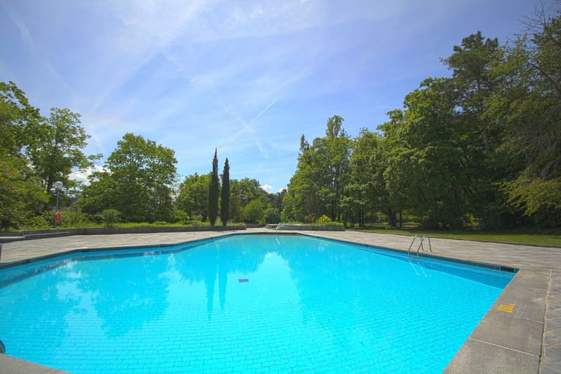 An empty rectangular swimming pool surrounded by tiles in a green park