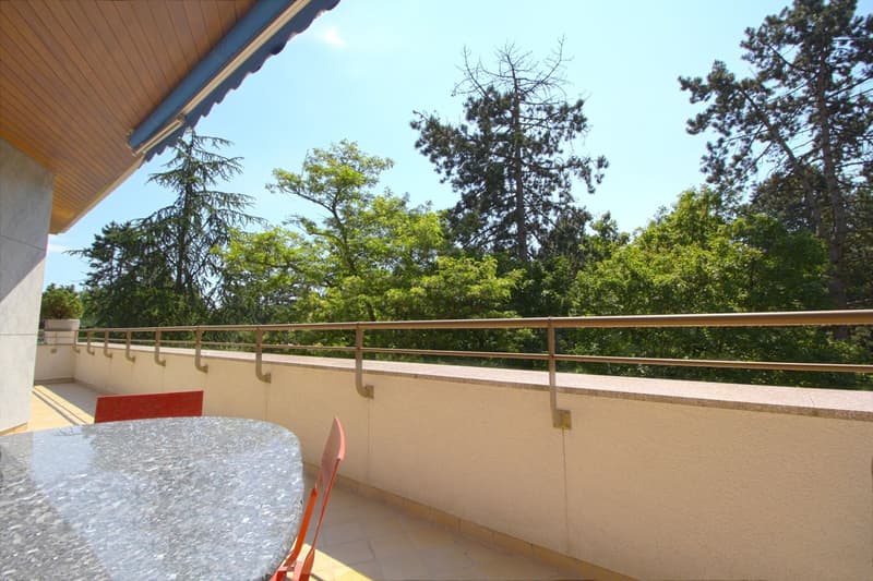 Glass table, red chairs, metal railing, tiled floor, trees in the background