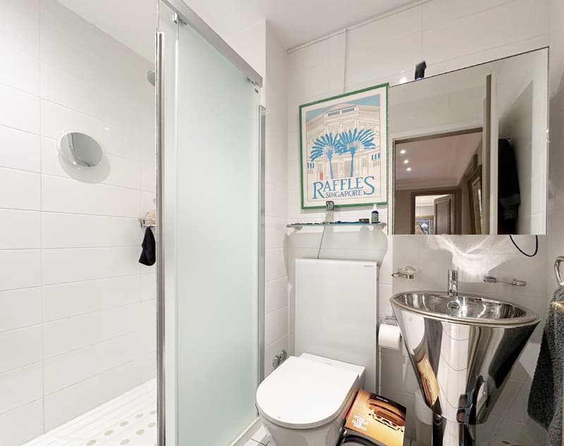 shower with a door, white tiles, small shelf, silver sink, mirror, toilet, towel hanger