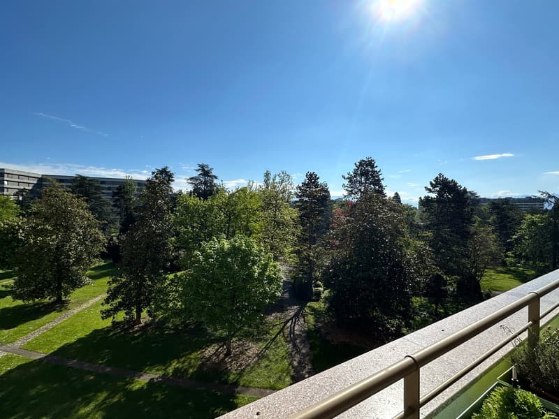 View from balcony, balcony railing, lawn, trees, and building in distance, bright sunny day