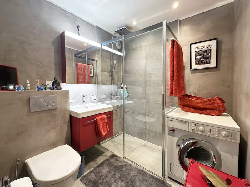 Glass shower cubicle, sink with mirror, red cabinet, washing machine, toilet, grey tile floor, red towels, wall-mounted toilet flush, frame, countertop