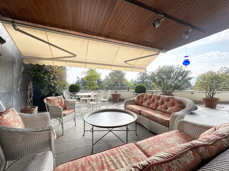 outdoor seating with wicker furniture, center table, potted plants, canopy awning, dining table and chairs