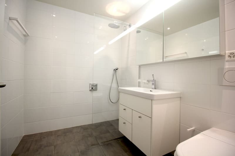 modern bathroom, white tiles, glass shower enclosure, white sink, silver faucet, white toilet