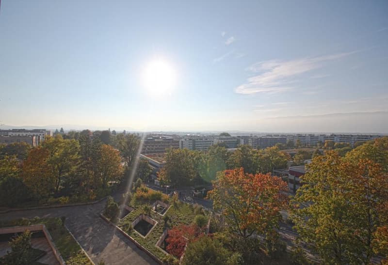 aerial view of a garden with lush greenery and buildings in the distance