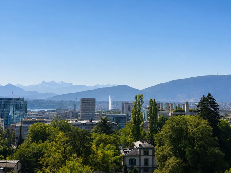 RARE: exceptionnel 5.5 pièces avec vue panoramique Genève/unique 3 bedroom unit overlooking Geneva (2)