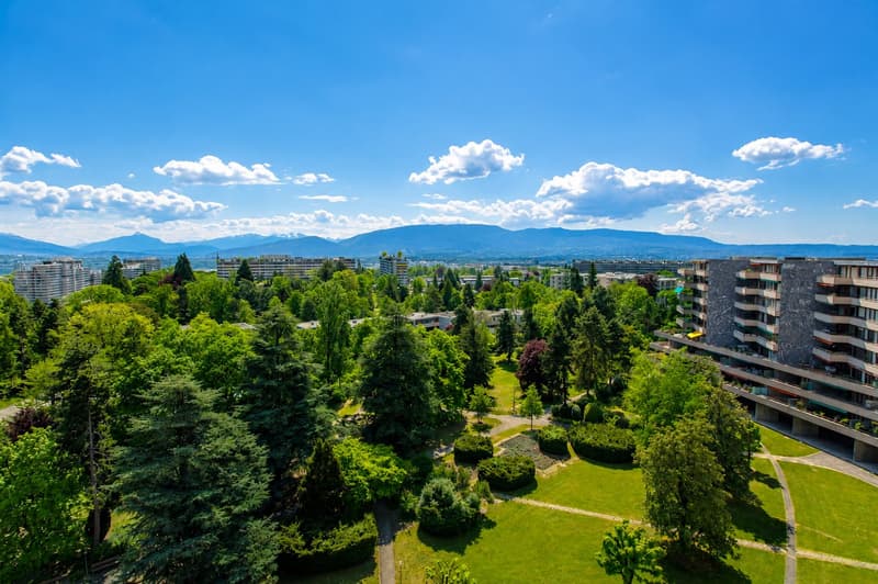 RARE: unique 4.5 room apartment in a private residence/spacieux 4.5 pièces dans une résidence privée (12)