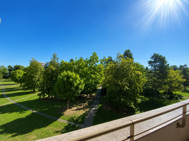 RARE: unique 4.5 room apartment in a private residence/spacieux 4.5 pièces dans une résidence privée (3)