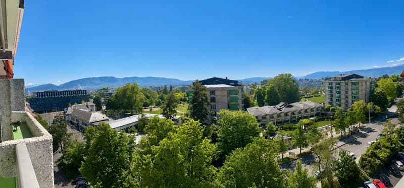 Rénové, lumineux vue panoramique – Fully renovated bright, overlooking Geneva (3)
