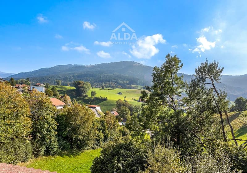 3.5-Zi.-Wohnung mit Südbalkon und Aussicht, Plasselb (1)