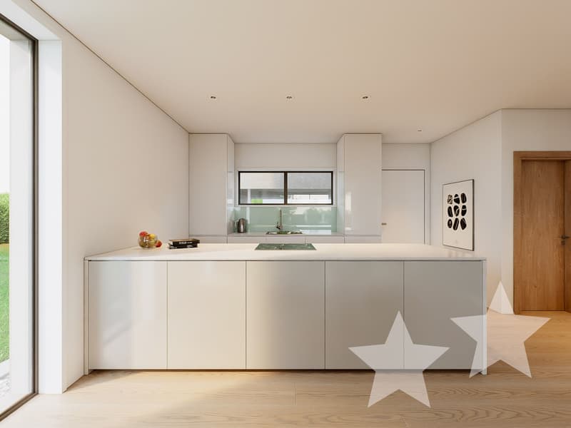 Haus D2 - Lichtdurchflutetes Wohnen mit harmonischer Architektur / Maison D2 - Un habitat lumineux au c?ur d'une architecture harmonieuse (6)