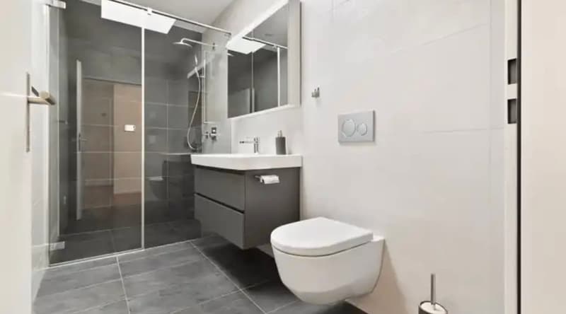4.5-Zimmer-Penthouse mit 2 Terrassen in Gwatt (Thun) mieten (13)