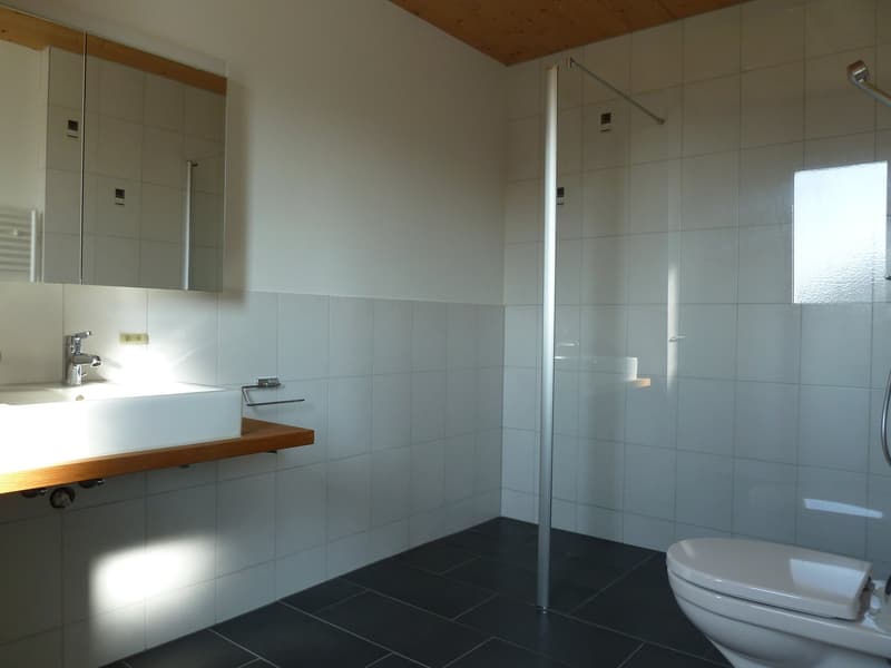 Helle 4.5-Zimmer-Wohnung mit Balkon und Garage in Hitzkirch (12)