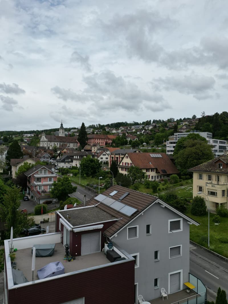 Helle 4.5-Zimmer-Wohnung mit Balkon und Garage in Hitzkirch (13)