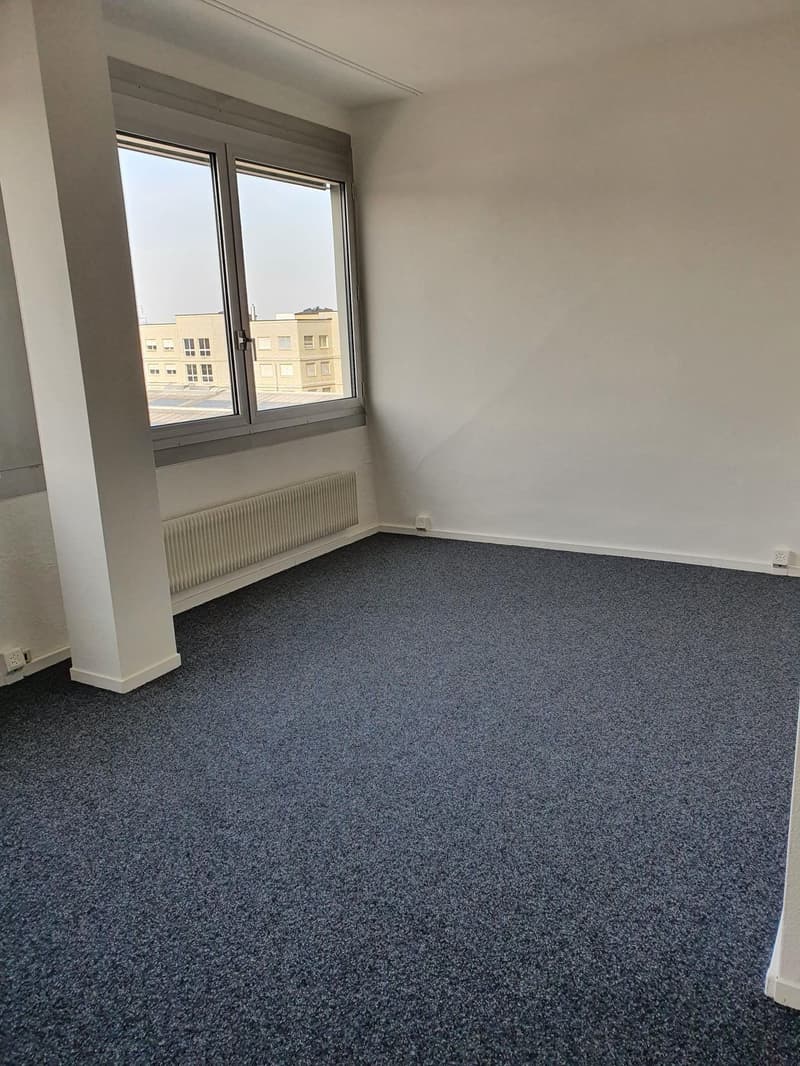 empty room, white walls, blue carpet, double window, white radiator, plug socket