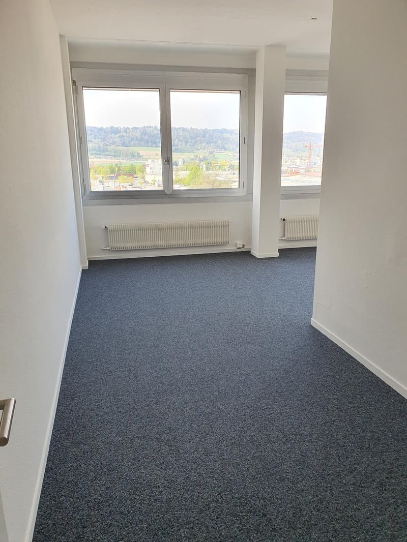 Empty room, blue carpet, white walls, white radiators, large windows with countryside view