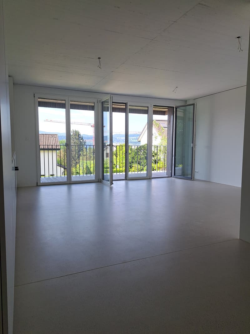 Attraktive 3.5 Zimmer-Neubauwohnungen mit Seesicht (5)