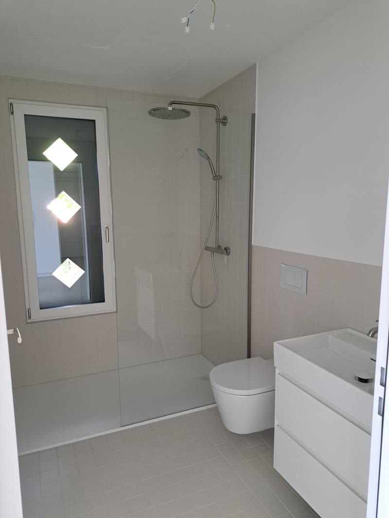 Attraktive 3.5 Zimmer-Neubauwohnungen mit Seesicht (8)