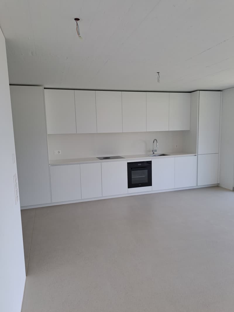 Attraktive 3.5 Zimmer-Neubauwohnungen mit Seesicht (2)