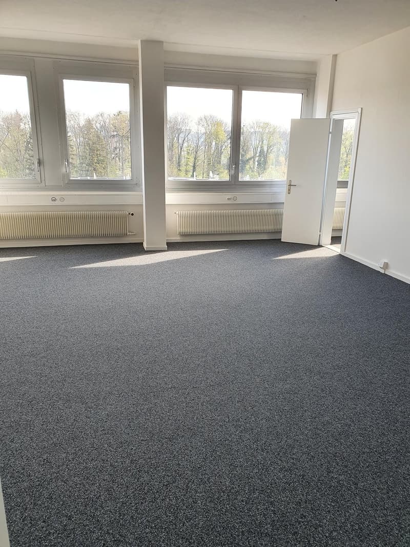 Gewerbe- und Verkaufsfläche an der Althardstrasse 160 in Regensdorf (3)