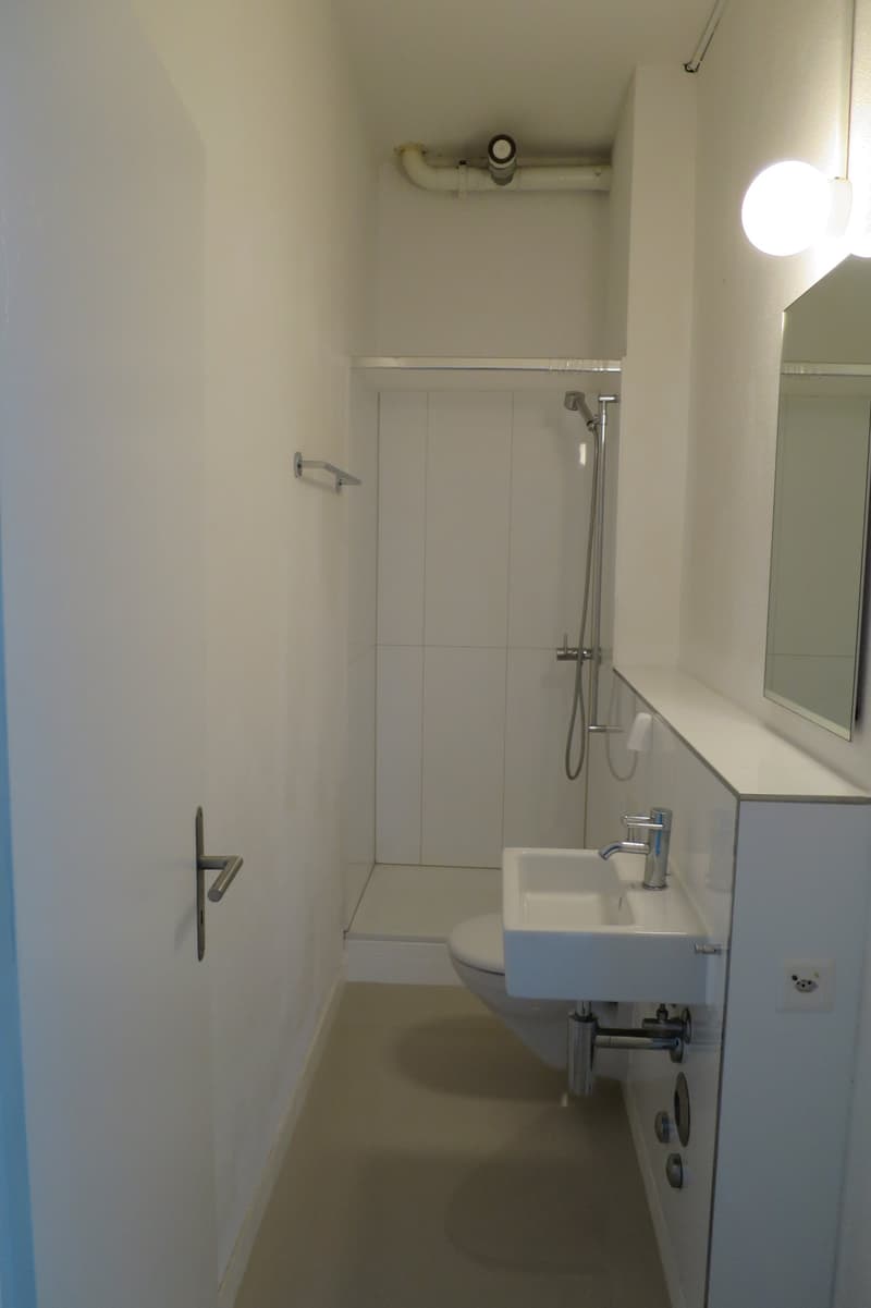 Gewerbe- und Verkaufsfläche an der Althardstrasse 160 in Regensdorf (10)
