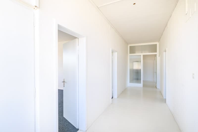 Grosszügige Gewerbefläche in Regensdorf – zentral gelegen, ca. 187 m² (2)