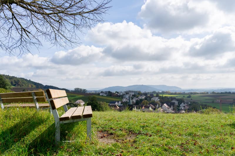 Modernes 4.5-Zimmer-Einfamilienhaus in ruhiger Dorfmitte von Dörflingen (8)