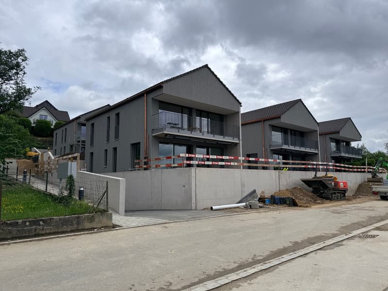 Exklusives Einfamilienhaus mit Weitsicht und Komfort (1)