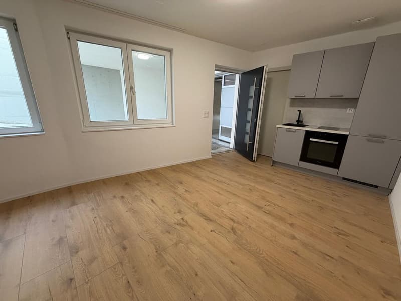 Modernes Büro im Untergeschoss – Schaffhausen, Thayngerstrasse 40 (2)