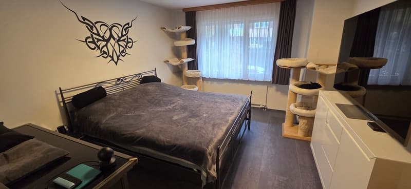 Charmante 3.5-Zimmer-Wohnung mit Balkon und Garage in Schaffhausen (4)