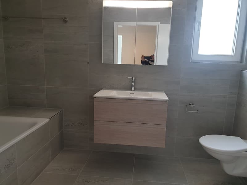 Moderne 4.5-Zimmer-Wohnung mit über 55m2 Terrasse (4)