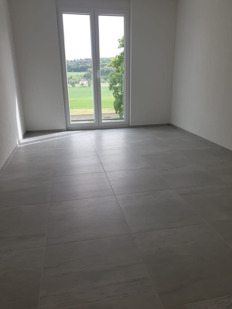 Moderne 4.5-Zimmer-Wohnung mit über 55m2 Terrasse (8)