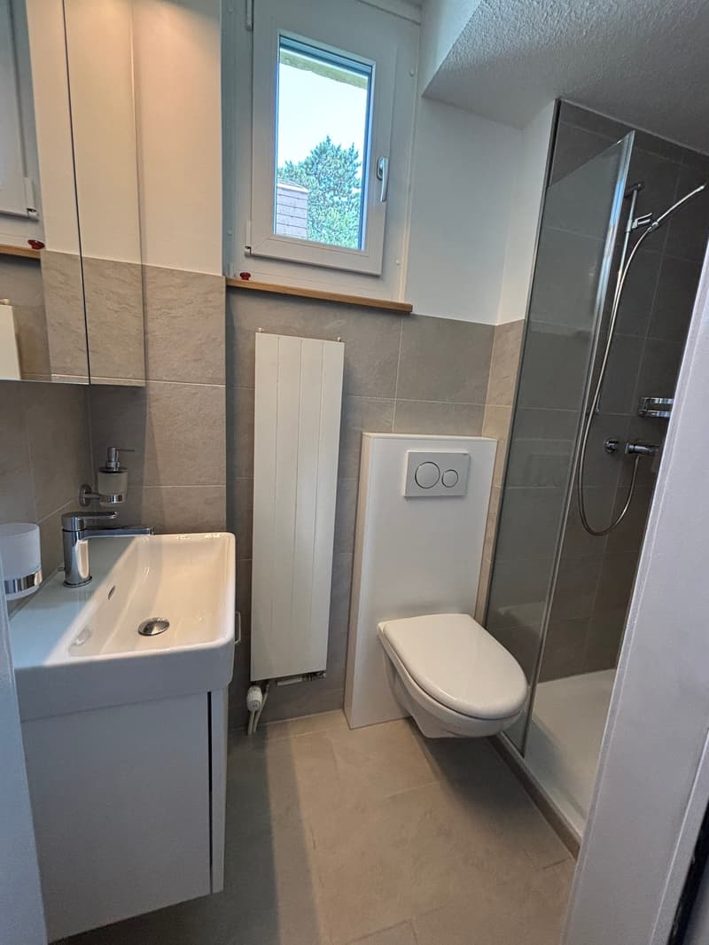 small bathroom with sink, toilet, and shower stall, mirror, and shower head