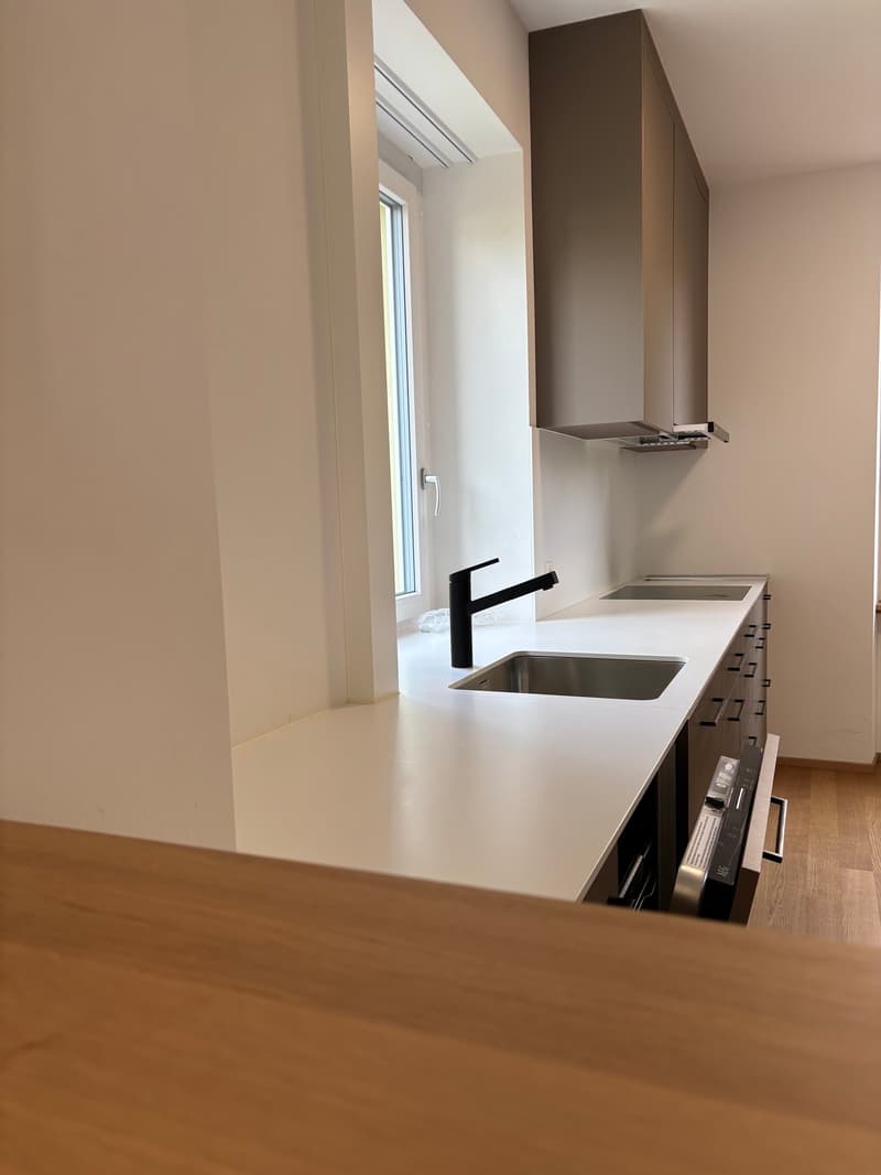 kitchen with sink, faucet, counter, cabinets, dishwasher