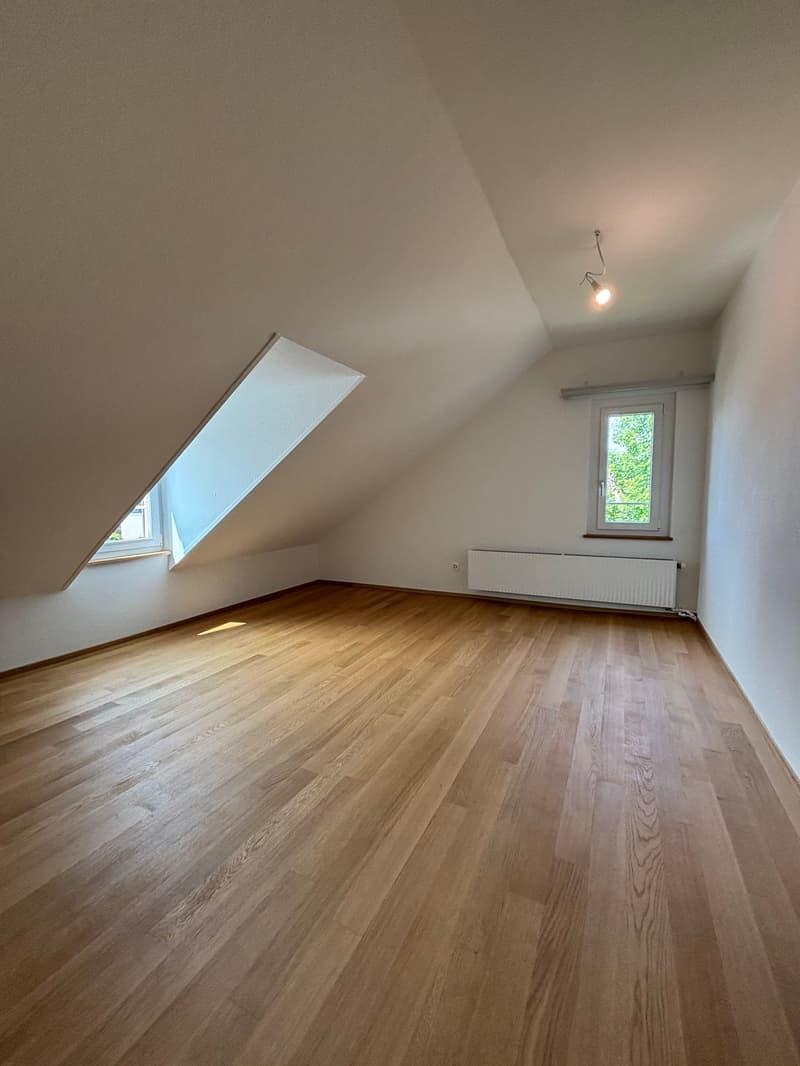 Renoviertes 5.5-Zimmer-Doppeleinfamilienhaus in Muttenz (10)