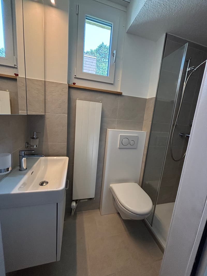 A modern bathroom with a shower, toilet, and sink, featuring a white countertop, silver fixtures, a toilet paper holder, and a showerhead
