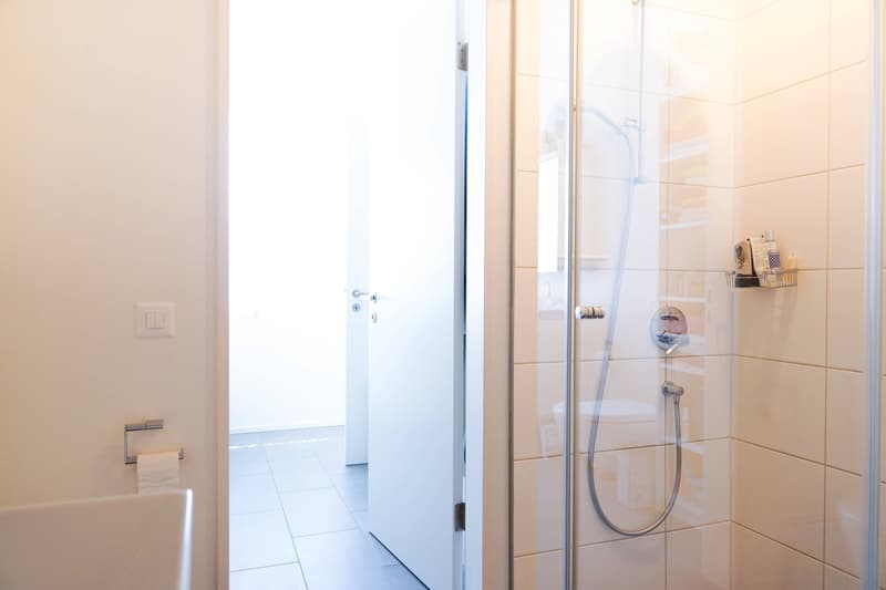 Stilvolle und moderne 3.5-Zimmer-Wohnung im beliebten Gellert (8)