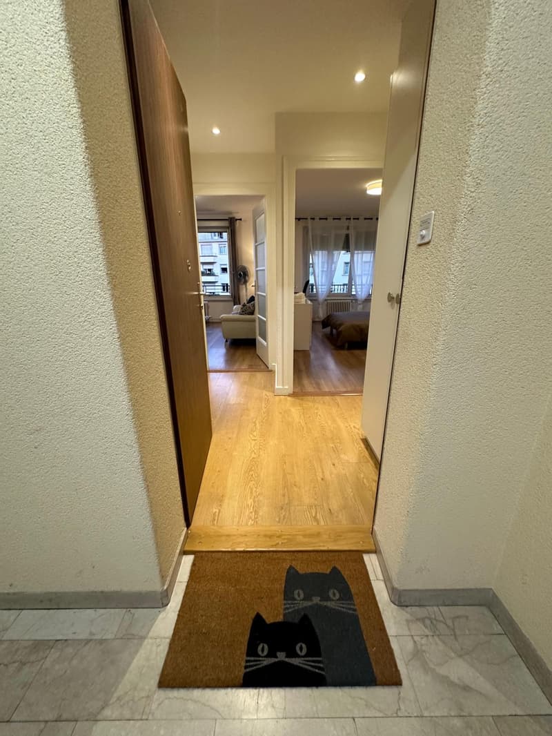 Charmant appartement meublé de 2.5 pièces (6)