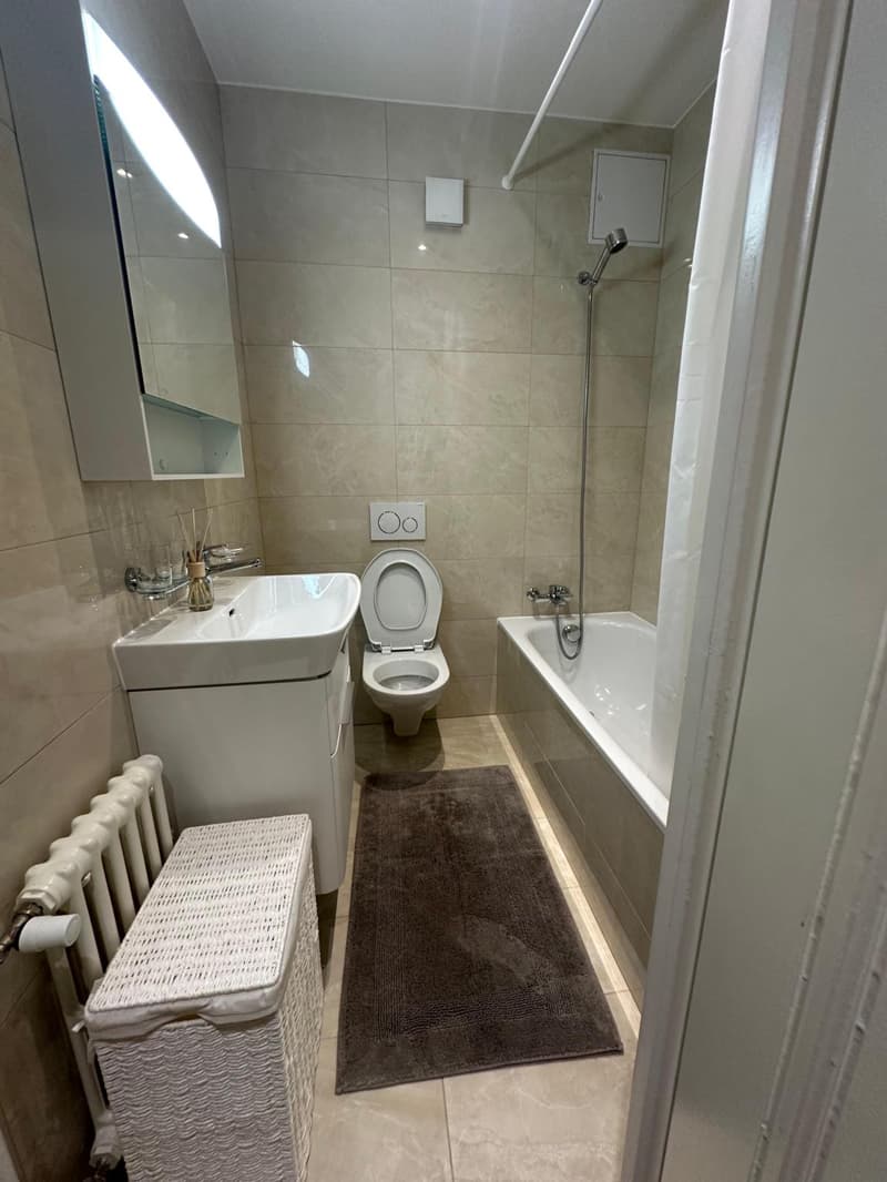 Charmant appartement meublé de 2.5 pièces (8)
