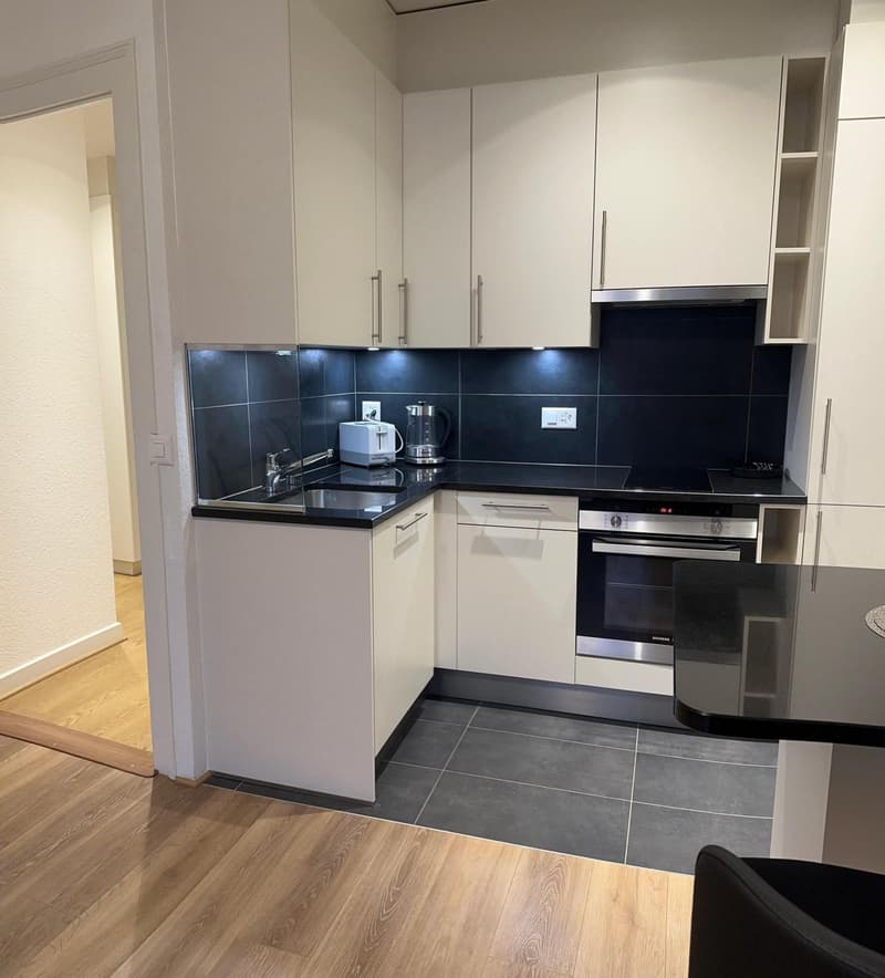 Charmant appartement meublé de 2.5 pièces (2)