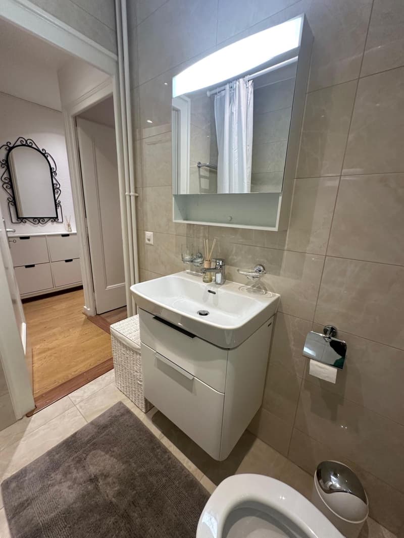 Charmant appartement meublé de 2.5 pièces (7)
