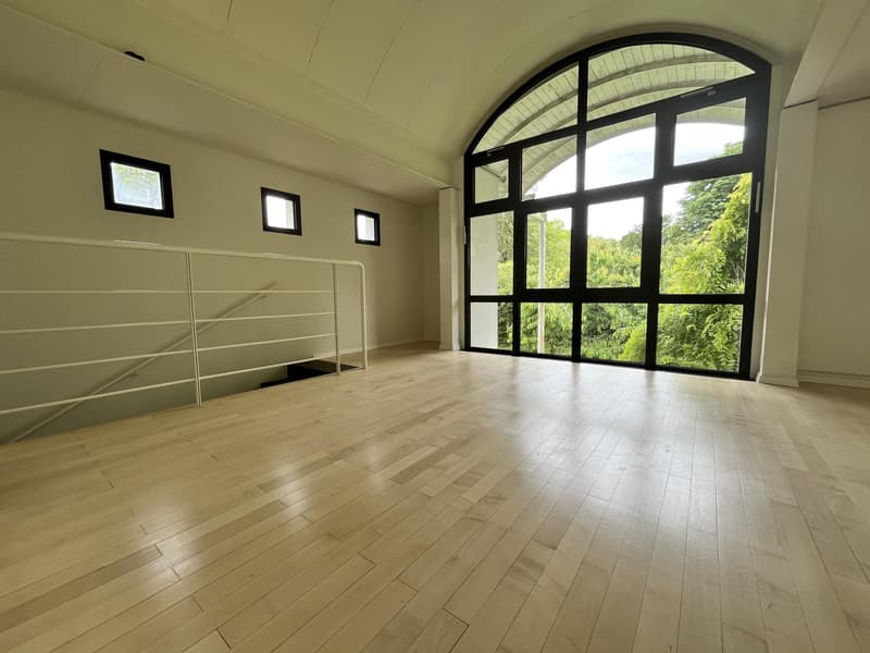 Maison d'architecte - Pregny-Chambésy (6)