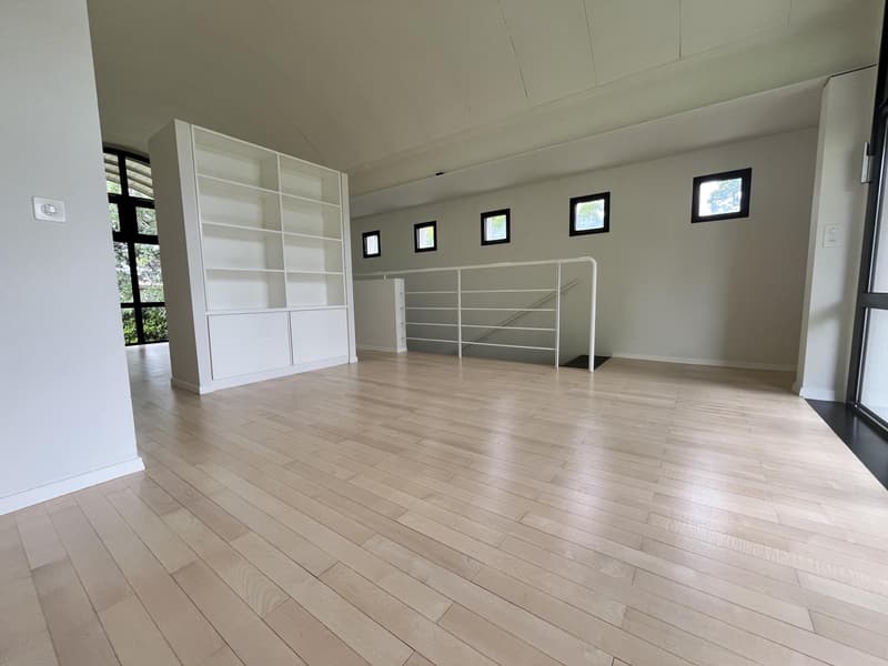 Maison d'architecte - Pregny-Chambésy (5)