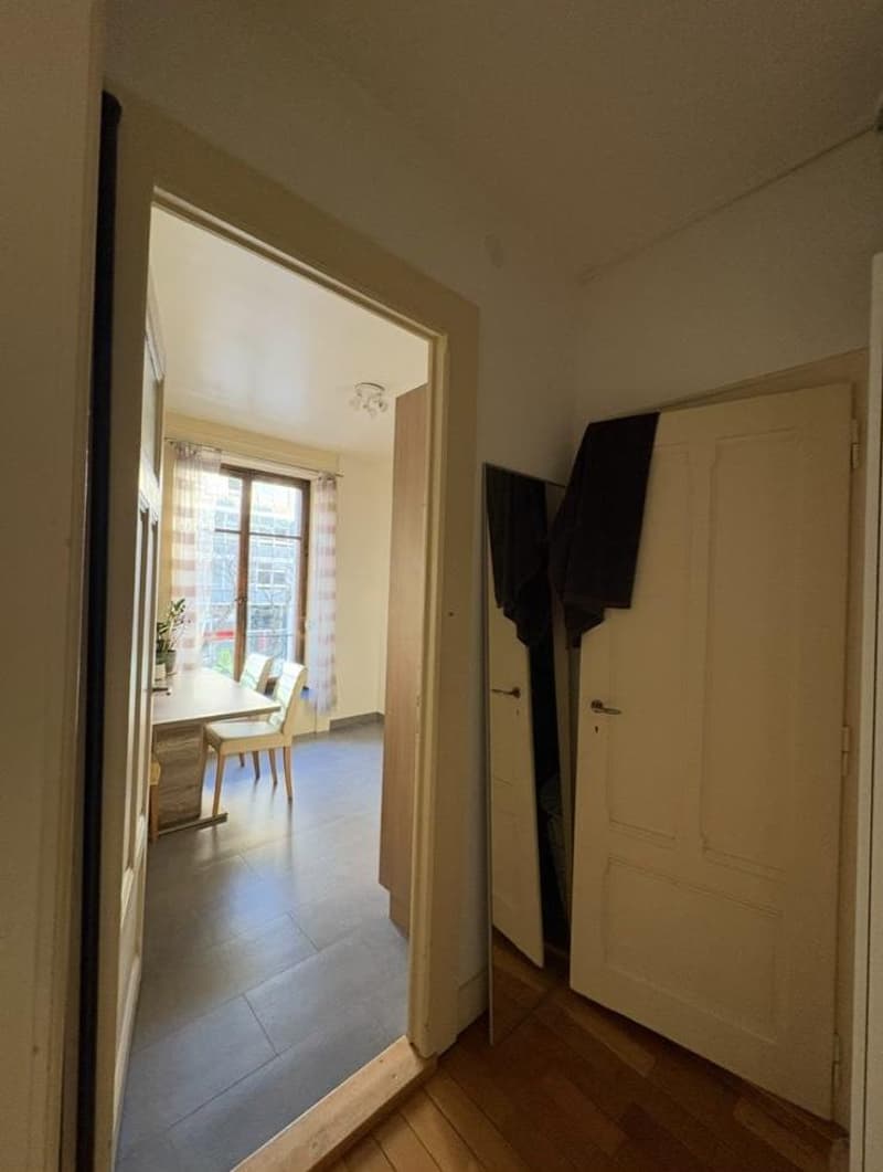 Grand appartement 2 pièces meublé (5)