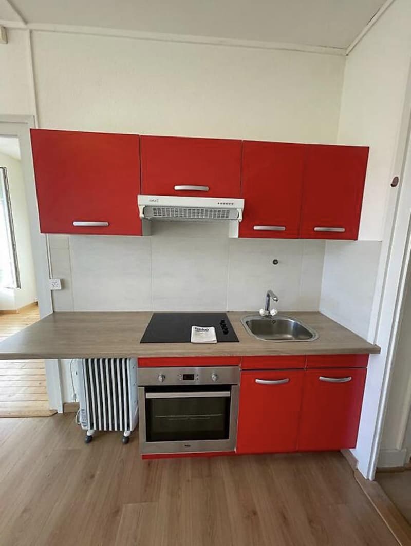 Appartement 2 pièces à Jonction (3)
