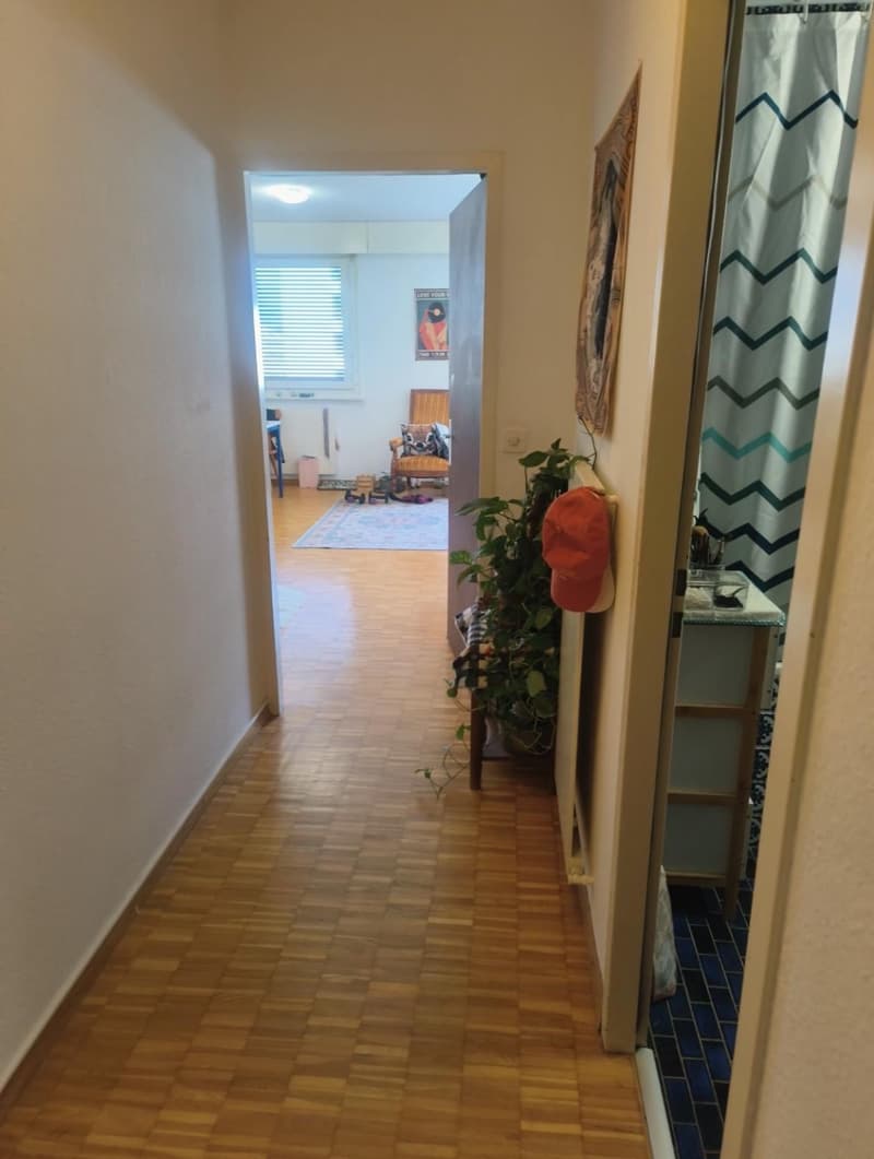 Appartement 2 pièces à Servette (2)