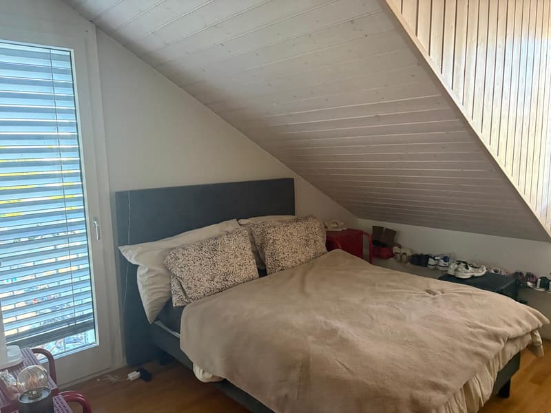 Appartement rénové 4 pièces (4)