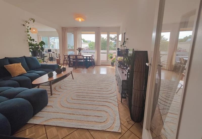 Spacieux appartement à proximité des organisations internationales (2)