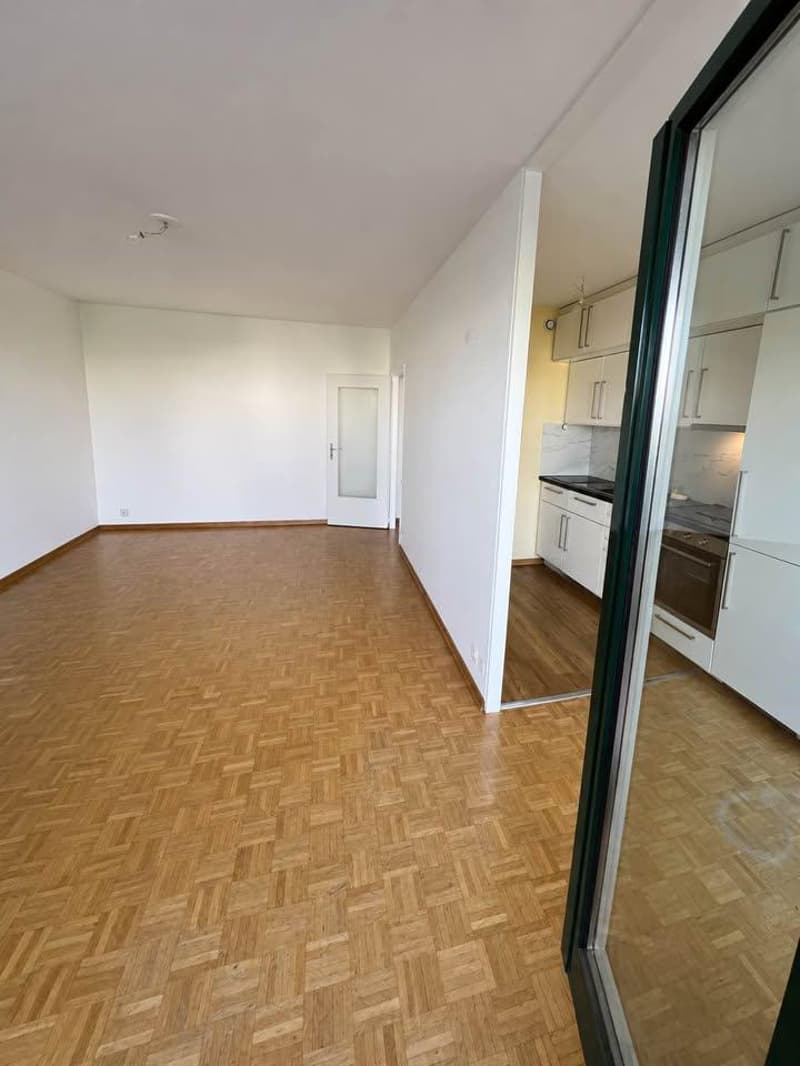 Appartement Calme à Versoix (4)