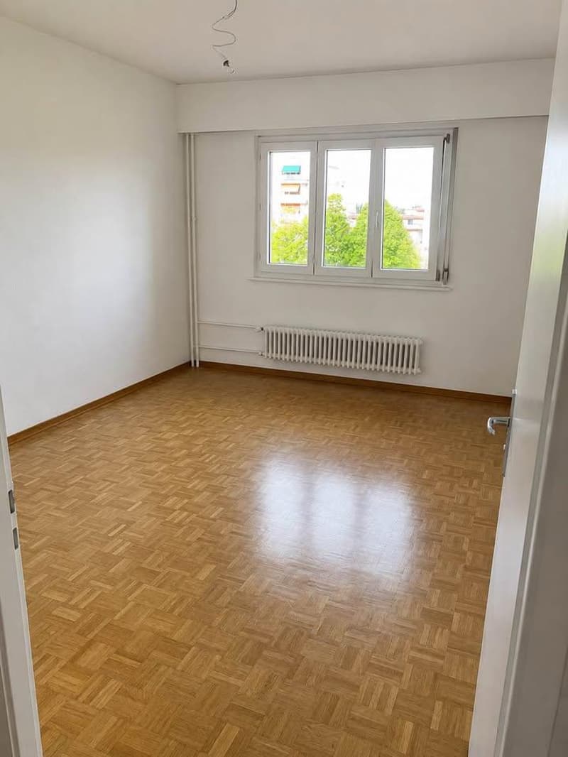 Appartement Calme à Versoix (3)